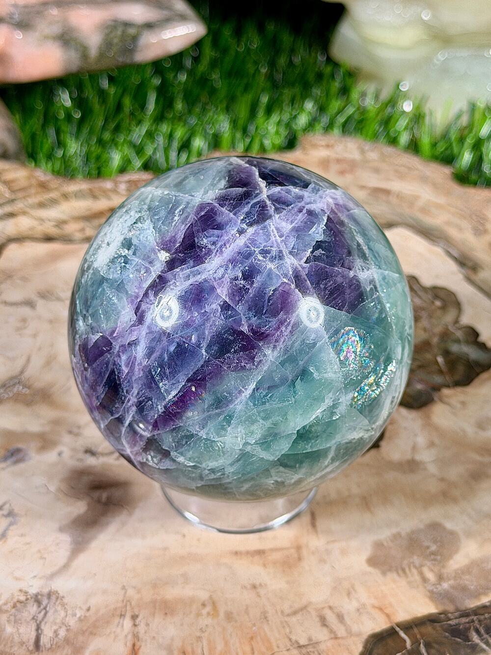 61mm Bi-Color Feather Fluorite Crystal Sphere 13.5 oz